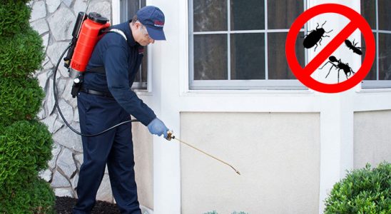 Seydişehir Kemirgen İlaçlama böcek ilaçlama ve haşere kontrolü — ilaclama-tr.com